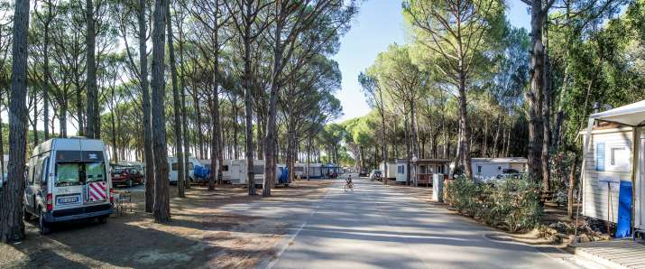 Camping Neptuno